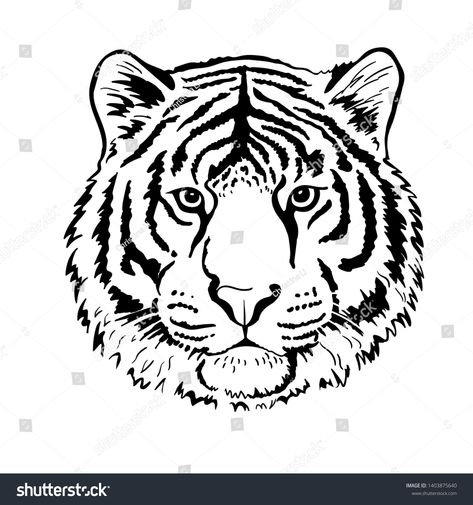 Tiger portrait head isolated on white background. Template. Illustration. Close-up. Clip art. Hand Painting. Ink. Vector #Ad , #spon, #white#background#Template#isolated Tiger Face Drawing, Black Dragon Tattoo, Art Shed, Face Outline, Tiger Drawing, Drawing Heads, Face Sketch, Tiger Face, Tiger Art