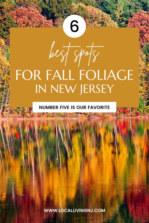 Experience the Best Fall Foliage in New Jersey with This Guide Fall In New Jersey, New Jersey Fall, Jersey Day, Leaf Peeping, Garden State, South Jersey, Travel Locations, Best Location, Fall Foliage