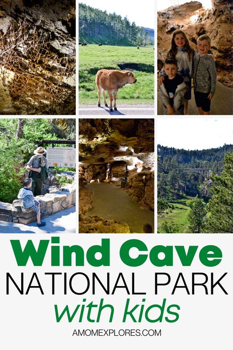 Wind Cave National Park South Dakota, Wyoming Trip, South Dakota Road Trip, South Dakota Vacation, Family Vacation Ideas, South Dakota Travel, Wind Cave National Park, Colorado Trip, Mt Rushmore