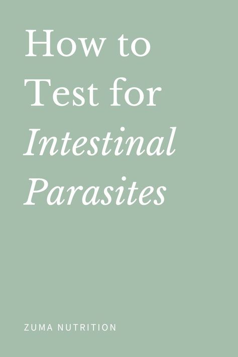 How to Test for Intestinal Parasites Parasites Symptoms, Intestinal Parasites, Parasite Cleanse, Brain Fog, Digestion Problems, Free Guide, How To Do Yoga, Abs Workout, How Are You Feeling