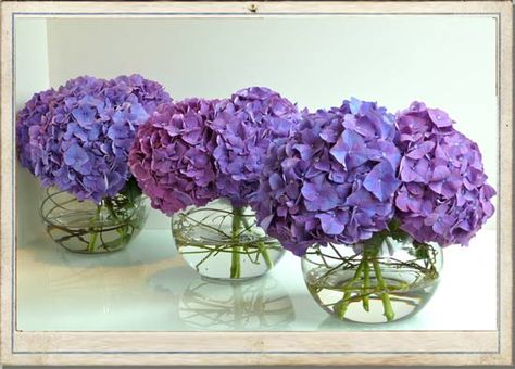 Purple Hydrangea Centerpiece Wedding, Blue Purple Hydrangea Wedding, Purple Hydrangea Centerpieces, Purple Hydrangea Wedding, Hydrangea Bouquets, Lavender Bridal Bouquet, Purple Wedding Centerpieces, Purple Hydrangeas, Hydrangea Bouquet Wedding