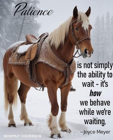 Equine Quotes, Christian Camp, Inspirational Horse Quotes, Horse Riding Quotes, Cowboy Quotes, Riding Quotes, Inspirational Life Lessons, General Quotes, Retreat Center