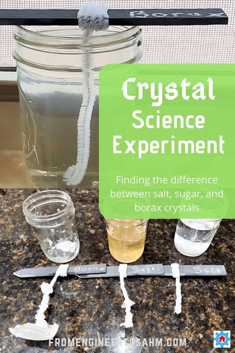 Crystal Science Experiment at Home Salt Crystal Experiment, Science Fair Projects Crystals, Salt Crystals Diy For Kids, Sugar Crystal Science Project, Kids Science Fair Projects, Science Fair Projects Boards, Borax Crystals, Stem Club, Lab Ideas