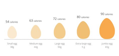 How Many Calories Are in an Egg? Chia Seed Nutrition, Lentils Nutrition, Wine Calories, Atkins Diet Plan, Egg Calories, Food Calorie Chart, Calorie Chart, Egg Nutrition, Nutrition For Runners