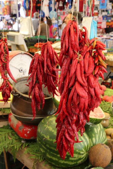 Hanging dried peppers at the Italian market Food Europe, Italian Market, Red Street, Dried Peppers, Foreign Travel, Street Vendor, Street Vendors, Farm Food, Chile Pepper