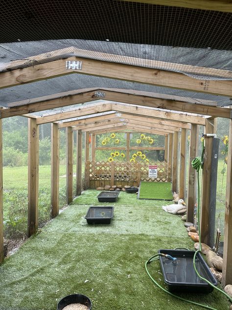 Goose Enclosure, Duck Run Ideas, Coldframe Greenhouse, Duck Enclosure Ideas, Duck House Ideas, Duck Coop Ideas, Quack Shack, Duck Run, Chicken Duck Coop