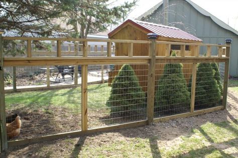 nice fence for chicken yard.  but does it need to be this tall for clipped wings? Short Fence, Cheap Dog Kennels, Chicken Fence, Deer Fence, Cheap Fence, Backyard Gazebo, Diy Fence, Front Yard Fence, The Residents