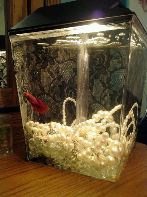 Decorate a fishtank! Modge podge lace onto the back, add old pearl necklaces instead of rocks. Diy Aquarium Ideas, Fish Tank Themes, Cool Fish Tanks, Diy Aquarium, Aquarium Ideas, Nature Aquarium, Betta Fish Tank, Cool Fish, Decoupage Diy