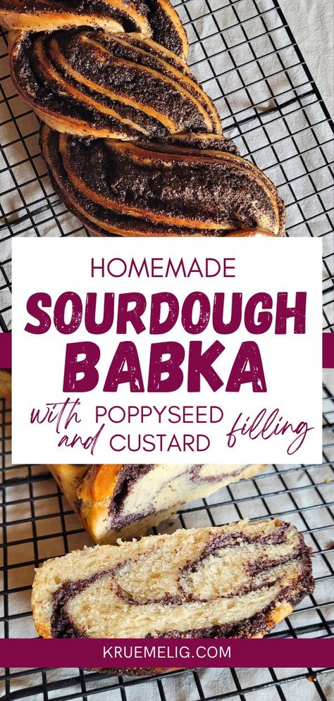 Homemade Sourdough Brioche with Poppy Seed Filling - KRÜMELIG Poppy Seed Babka, Sourdough Raisin Bread Recipe, Babka Recipes, Poppy Seed Recipes, Wife Cooking, Sourdough Brioche, Poppy Seed Filling, Poppy Seed Bread, Babka Recipe