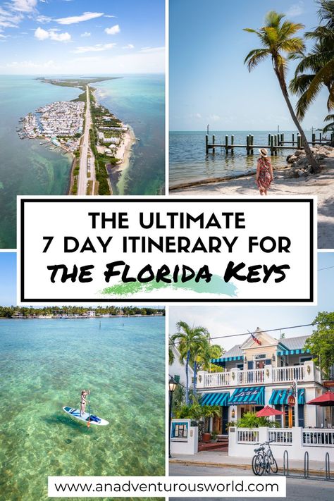 Are you planning a Florida Keys road trip? From what to do, where to eat and where to stay, this is my 7 day itinerary for the Florida Keys! #floridakeys #floridakeysitinerary #floridakeys7dayitinerary #floridakeysoneweekitinerary #itineraryfloridakeys #thingstodoinfloridakeys #whattodoinfloridakeys Florida Keys Road Trip, 7 Day Itinerary, The Florida Keys, Florida Travel, Beach Travel, Florida Keys, Amazing Adventures, Travel Itinerary, Beach Trip