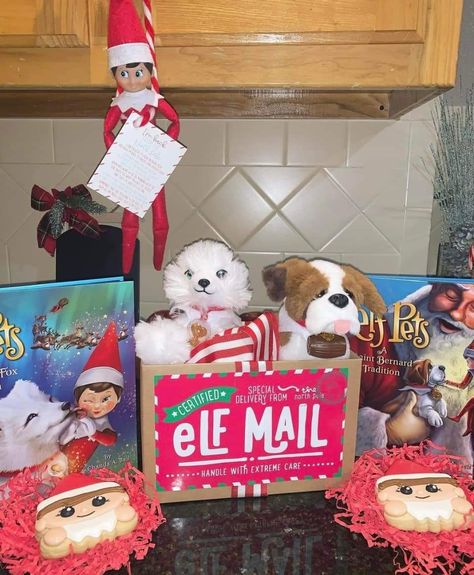 Elf On The Shelf Arrival Ideas With Pet, Elf Pet Arrival Ideas, Elf On The Shelf Pet Arrival Ideas, Elf On Shelf Pet Arrival, Elf On The Shelf Pets, Elf Pets Arrival, Elf On The Shelf Pet Ideas, Elf Is Back Ideas, Elf Pets