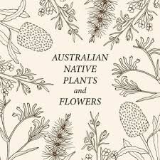 Bujo Flowers, Floral Wreath Drawing, Embroidery Patterns Free Templates, Bee Friendly Flowers, Pyrography Ideas, Wildflower Drawing, Flowers Border, Australian Wildflowers, Botanical Line Drawing