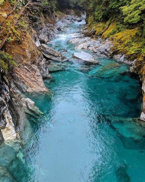 Blue river, New Zealand     _princessella Wanaka New Zealand, Thermal Pool, Lake Wanaka, Blue Pool, Milford Sound, Instagrammable Places, New Zealand Travel, South Island, Road Trip Itinerary