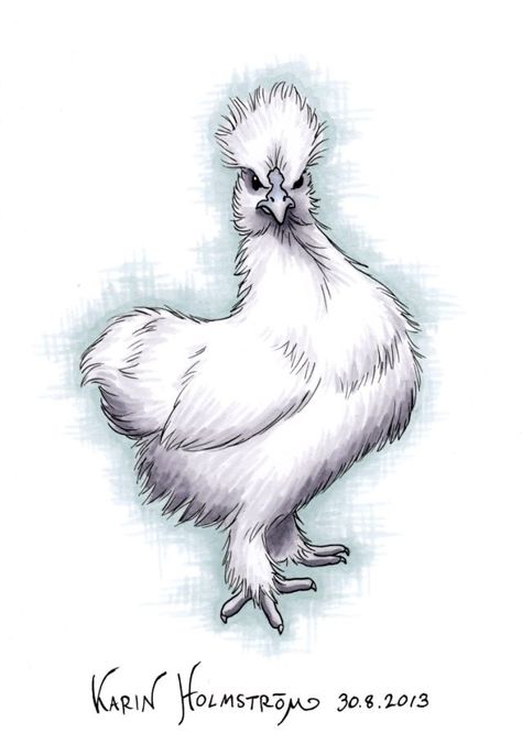 Silky Chicken Drawing, Silkie Chicken Painting, Silkie Chicken Drawing, Hen Sketch, Farm Illustration, Chicken Drawing, Silkie Chickens, Chicken Painting, Pencil Drawings Easy