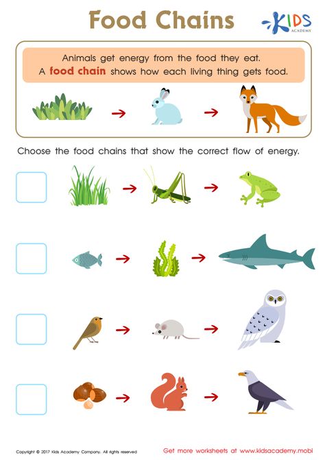 Food Chain Worksheet Free Printable, Food Chains, Spanish Family Tree, Simple Food Chain, Food Definition, Food Web Worksheet, Food Chain Worksheet, Food Chain Activities, Hot Dog Chili Sauce