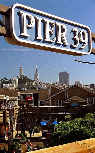 Pier 39, Fishermans Wharf, Pacific Coast Highway, San Francisco Travel, San Francisco Bay, San Fran, Ansel Adams, San Francisco Bay Area, Bay Area