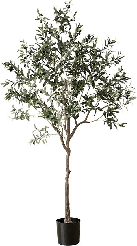 Olive Tree Care, Indoor Olive Tree, Tall Potted Plants, Dream Garden Backyards, Growing Olive Trees, Artificial Olive Tree, Front Lawn Landscaping, Olive Plant, Backyard Covered Patios