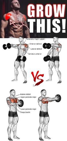 Front delts  Front delts Delt Workout, Front Delts, Delts Workout, Food Gym, Rowing Workout, Workouts Gym, Outfit Gym, Workout Routine For Men, Gym Food