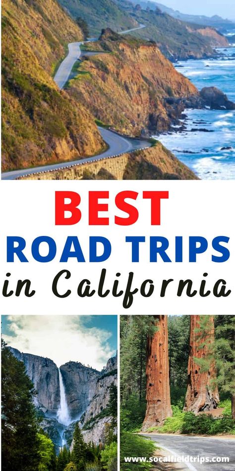 California National Park Road Trip, California Road Trips, Northern California Road Trip, Pacific Coast Road Trip, Pacific Coast Highway Road Trip, California Coast Road Trip, California Redwoods, Best Road Trips, East Coast Road Trip