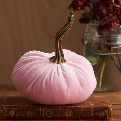 PRICES MAY VARY. 【Quantity】: Package includes 1/4 Pcs small velvet pumpkins in pink, green, blue, gold, orange. These velvet pumpkins add a subtle elegance and sophistication, allowing you to reach for them to decorate your home again and again. Use them to create a warm atmosphere and bring some soft fall flair to your space. 【Size】: Each artificial pumpkin measures about 6" wide and 6" tall. Small and cute, these fall pumpkin decorations make a great statement in table centerpieces, tiered tra Shabby Chic Mantle, Modern Glam Decor, Pumpkins Decor, Fall Party Themes, Artificial Pumpkins, Modern Rustic Decor, Foam Pumpkins, Pink Pumpkin, Wedding Themes Fall