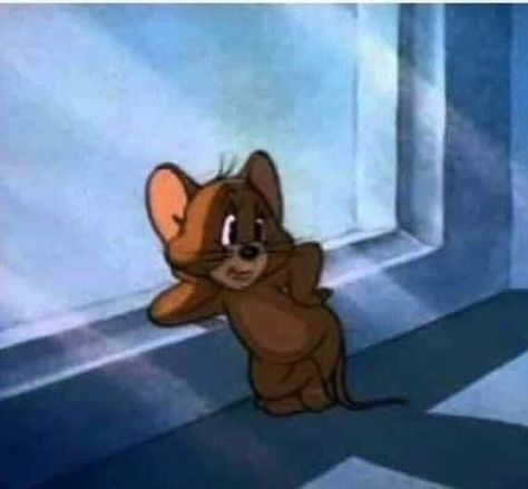 Lion Animation, Tom And Jerry Memes, Tom And Jerry Pictures, Tom And Jerry Cartoon, Weird Funny, Crazy Stuff, Tom Jerry, Funny Quotes For Instagram, Random Memes