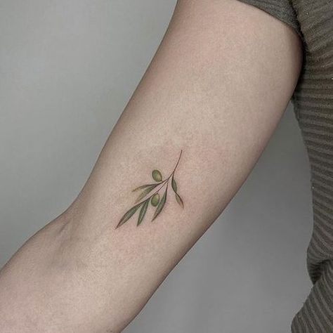 Top 20 Olive Tattoo Designs for 2024: Embrace Peace with These Artistic Creations Mini Olive Branch Tattoo, Green Olive Tattoo, Mediterranean Tattoo Ideas, Olive Tattoos, Olive Vine Tattoo, Olive Branch Tattoo Arm Wrap, Olive Leaf Tattoo, Olive Tree Tattoo, Eucalyptus Tattoo