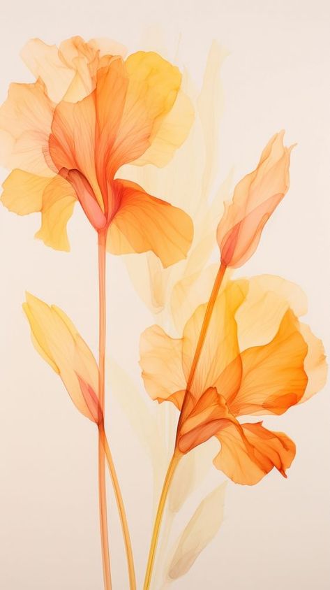 Rose Flower Wallpaper Aesthetic, Wallpaper Rose Flower, Aesthetic Wallpaper Flower, Flower Wallpaper Aesthetic, Orange Aesthetic Wallpaper, Canna Flower, Canna Lilies, Orchid Wallpaper, Marvel Paintings