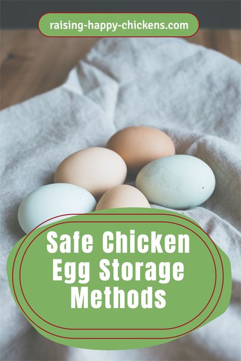 Wondering what safe fresh chicken egg storage methods are? If you are asking questions like should you be preserving eggs in the refrigerator? Or should eggs be washed before storing? then you’ve come to the right place. I use verifiable sources, not just my own views. In this article I'll share what the evidence says, and look at the pros and cons of storing eggs and preserving eggs. Keep reading to learn all you need to know >> Fresh Egg Storage, Chicken Egg Colors, Preserving Eggs, Chickens 101, Egg Facts, Happy Chickens, Storing Eggs, Egg Nutrition, Fresh Egg