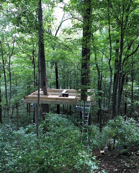 Step by step | photo by @chrishenks Forest Terrace, Hillside Deck, Tree Deck, Deck Fire Pit, Gardening Techniques, Forest Bathing, House Viewing, Cob House, Forest Design