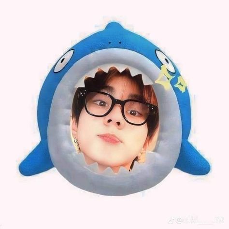 Cute Jungwon, Shark Icon, Shark Pfp