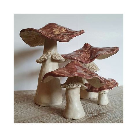 Ceramic Mushrooms Pottery, Mushroom Ceramics, Pottery Mushrooms, Ceramic Mushrooms, Clay Mushrooms, Art Ho, Ceramic Christmas Decorations, Mushroom Crafts, Beginner Pottery