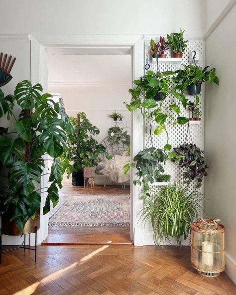 Plant Workshop, Plant Display Ideas, Hanging Plant Wall, Hanging Plants Indoor, Plant Decor Indoor, Plant Aesthetic, House Plants Decor, Loving Life, Style Deco