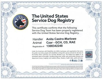 Service Dog Certificate Template Service Dog Certificate Template . Service Dog Certificate Template . Certificate Of Service Template Calep Midnightpig Co Service Dog Certificate Template, Service Animal Certificate Template, Free Printable Service Dog Certificate, Blank Certificate Template, Business Writing Skills, Blank Certificate, Certificate Of Completion Template, Birth Certificate Template, Dog Template