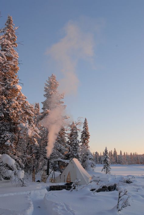 Winter Camping, The Snow, Steam, Tent, A Small, Trees, Camping