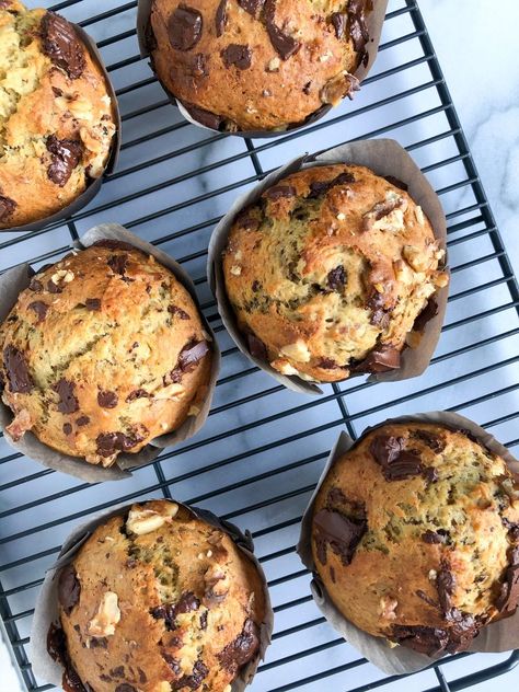 Banana Nut Chocolate Chip Muffins, Banana Nut Bread Muffins, Banana Pecan Muffins, Oatmeal Chocolate Chip Muffins, Nut Muffins, Chocolate Chip Muffin Recipe, Banana Nut Muffins, Banana Walnut, Chocolate Chip Banana