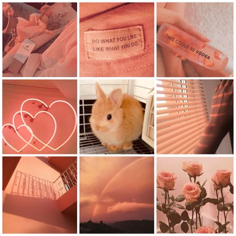 Character Boards Aesthetic, Bunny Moodboard, Summer Mood Board, Moodboard Inspo, Adopt Idea, Aesthetic Moodboard, Rainbow Aesthetic, Mood Board Inspiration, Calming Colors