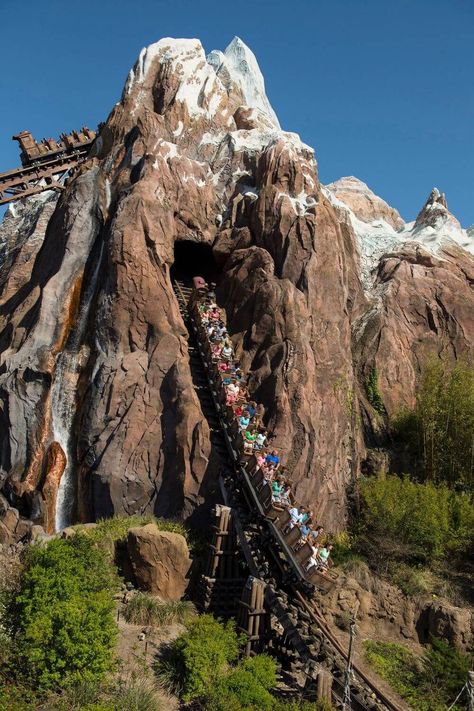 Photo of Expedition Everest at Animal Kingdom, with a ride car careening down a large drop. Expedition Everest Disney, Animal Kingdom Food, Animal Kingdom Outfit, Expedition Everest, Orlando Trip, Animal Kingdom Shirts, Disney Now, Disney Imagineering, Orlando Travel