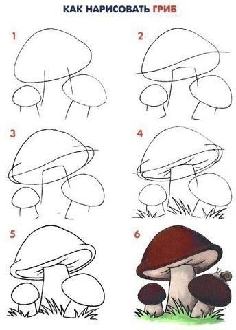 Draw Mushrooms, Beautiful Pencil Drawings, Crafts For Children, Drawing Instructions, Mushroom Drawing, Easy Doodle Art, Easy Doodles Drawings, Mushroom Art, Step Drawing