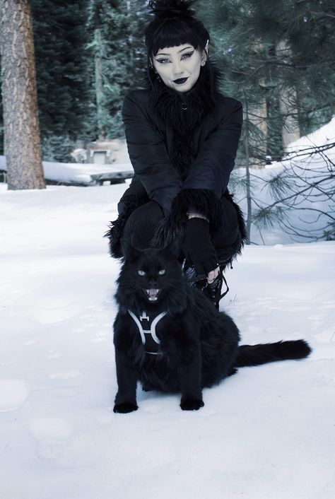 @ ducktrees on Instagram. Fluffy black Siberian cat, winter goth fashion, goth cat, goth makeup, blue eyes, cold aesthetic. Goth Winter Aesthetic, Snow Goth Outfit, Black Siberian Cat, Russian Goth, Blue Goth Aesthetic, Winter Goth Outfits Cold Weather, Goth Christmas Outfit, Goth Christmas Makeup, Goth Christmas Aesthetic