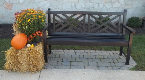 Decorate your outside bench this fall. Bench Halloween Decor, Fall Benches Decor Outdoor, Outdoor Bench Decor, Bench Decor Ideas, Outside Benches, Living Arrangements, Porch Bench, Happy Harvest, Fall Festivities