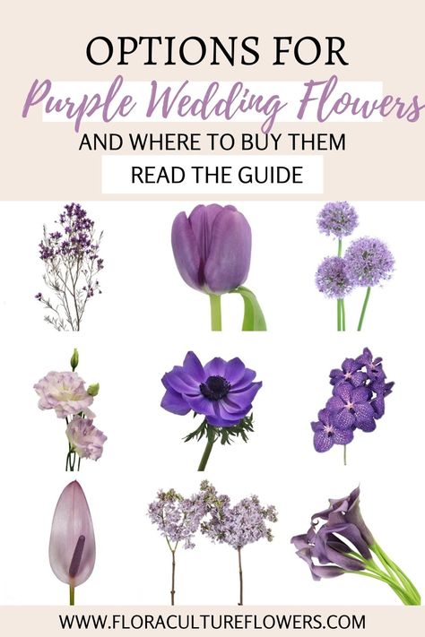 How to use purple flowers in your DIY wedding Purple Filler Flowers, Purple Flowers For Wedding, Light Purple Wedding Flowers, Costco Wedding Flowers, Dahlia Centerpiece Wedding, Wedding Flower Types, Lilac Wedding Flowers, Light Purple Wedding, Purple Flower Arrangements