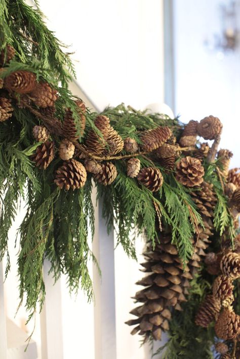 Diy Christmas Decorations Outdoor, Christmas Tree Ideas Red, Christmas Tree Ideas 2023, Wallpaper Aesthetic Christmas, Aesthetic Christmas Decor, Woodland Christmas Decor, Christmas Wallpaper Aesthetic, Christmas Decor Trends, Pinecone Garland