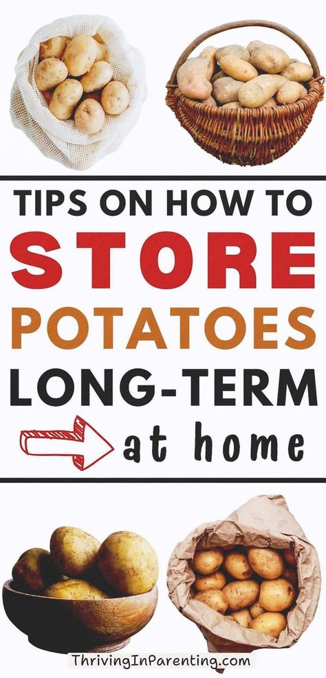 Busy moms, check out these helpful tips on how to store potatoes long term. Storing your potatoes properly keeps it fresh and prevents common potato issues such as spoilage. With proper knowledge on how to store potatoes at home, you can minimize waste and extend the shelf life of your potatoes. In this guide, explore potatoes storage pantry or kitchen techniques along with the ideal potato storage temperature and perfect place for storing so your potatoes stay fresh for a longer period of time. Potato Storage, Canned Potatoes, How To Store Potatoes, Homemade Pantry, How To Make Potatoes, Storage Pantry, Fresh Potato, White Potatoes, Food Garnishes