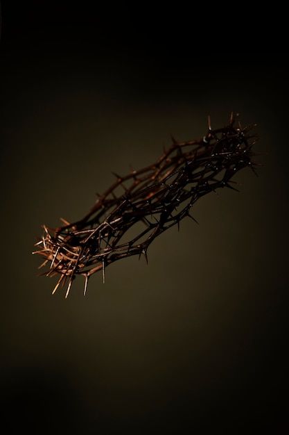 Crown Of Thorns With Flowers, Photo Still Life, Reference Study, Jesus Crown, Crown Aesthetic, Red Crown, Bible Notes, Crown Of Thorns, Creepy Art