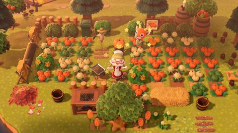 Types Of Pumpkins, Best Pumpkin Patches, Animals Crossing, Growing Pumpkins, Pumpkin Farm, Green Pumpkin, Small Pumpkins, Pumpkin Colors, Animal Crossing Game