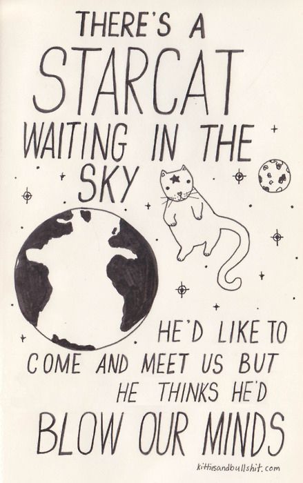 David Bowie - “Starman” | 17 Classic Song Lyrics Significantly Improved By Cats David Bowie Starman, Bowie Starman, Classic Songs, Crazy Cat Lady, David Bowie, Crazy Cats, Cat Lady, Cat Art, Make Me Smile