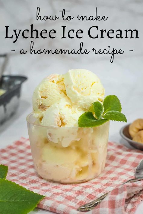 Lychee Ice Cream, Lychee Recipes, Rose Ice Cream, Custard Ice Cream, Kulfi Recipe, Gluten Free Ice Cream, Gelato Recipe, Ice Cream Maker Recipes, Homemade Ice Cream Recipes