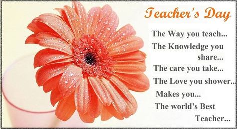 Teachers Day 2019 Shayari In English Wishes Quotes Sayings Computer Status, Teachers Day Card Message, 5 September Teachers Day, Teacher Day Wishes Quote, Teachers Day Status, Happy Teachers Day Message, Greetings English, Teachers Day Message, Happy Teacher's Day Quotes