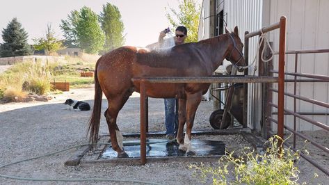 Horse Wash Bay Outdoor, Outdoor Wash Rack For Horses, Horse Washing Station, Horse Bathing Station, Wash Rack For Horses, Horse Wash Rack Outdoor, Horse Wash Stall, Horse Wash Rack, Mare Motel