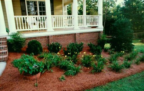 Best Options For Flower Beds | HubPages Pine Straw Landscaping, Backyard Flowers, In Front Of House, Room With Plants, Front Of House, Garden Tips, Landscaping With Rocks, Pine Needles, Back Patio